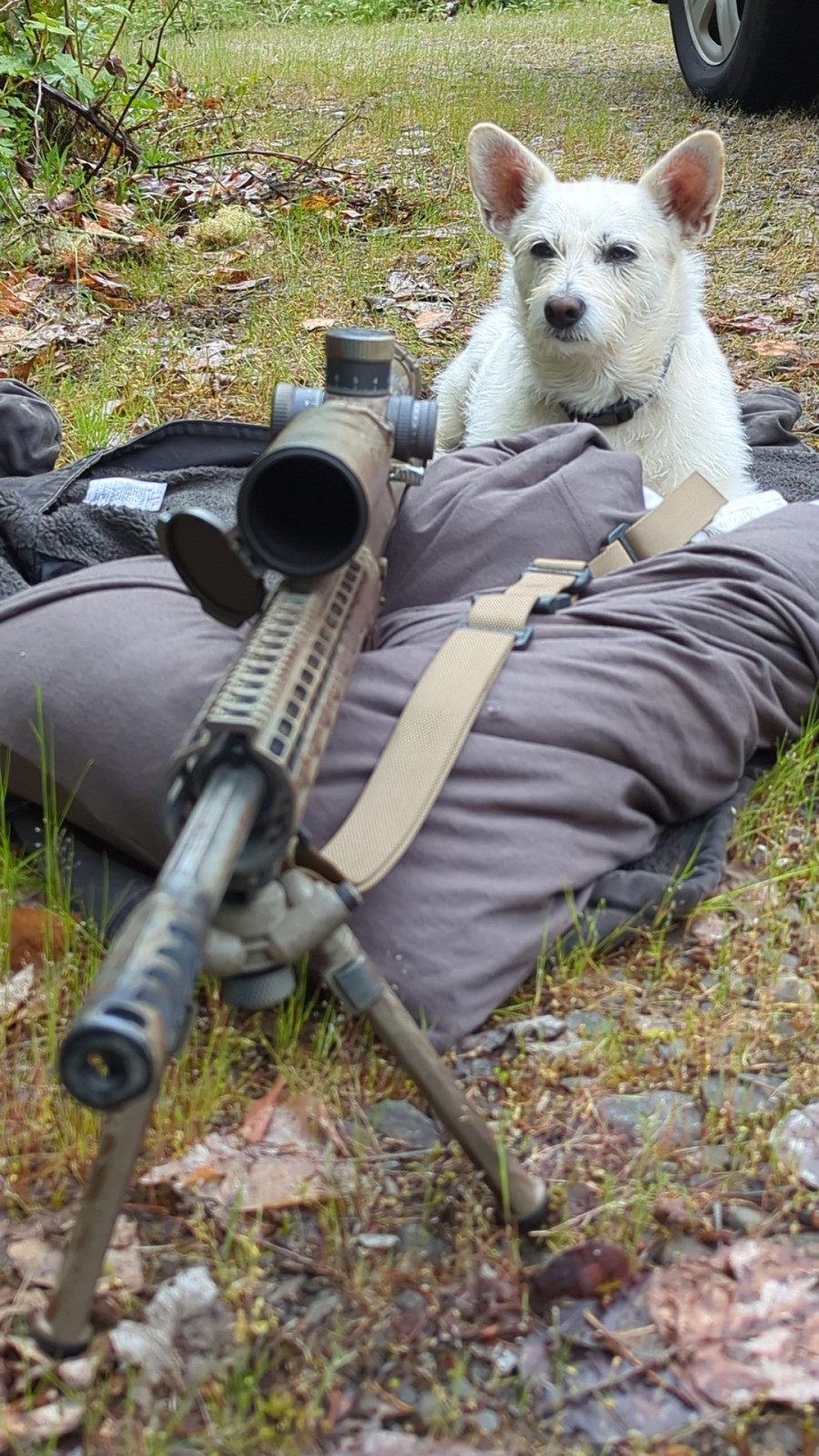 <p>Chica getting lined up to take a shot.</p>