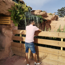 User
