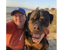 Animal Selfies